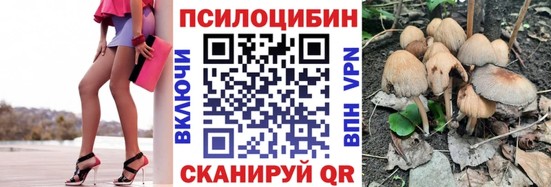 Псилоцибиновые грибы Psilocybe  даркнет сайт  Маркс 